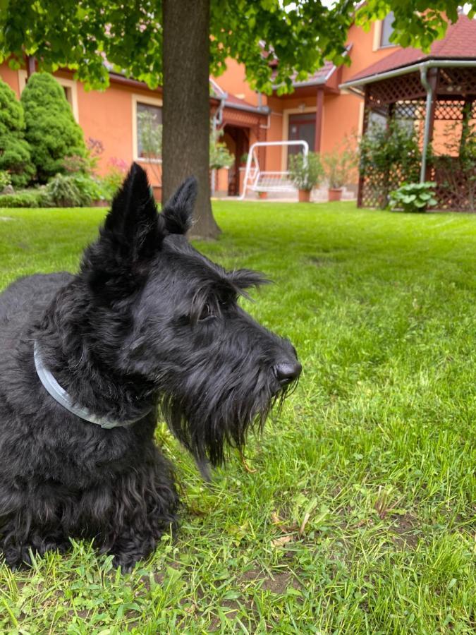 Apartman Dora Hajdúszoboszló Екстериор снимка